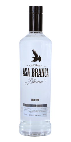 Asa Branca Pluma